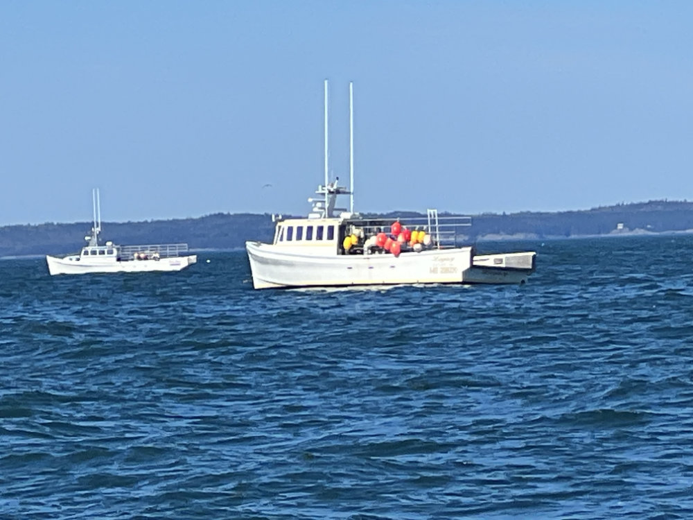 boat Cutler Harbor Tour