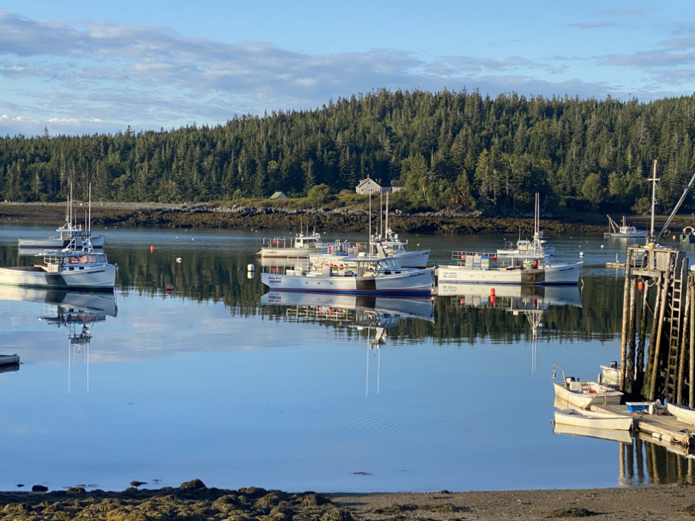 sunny day harbor